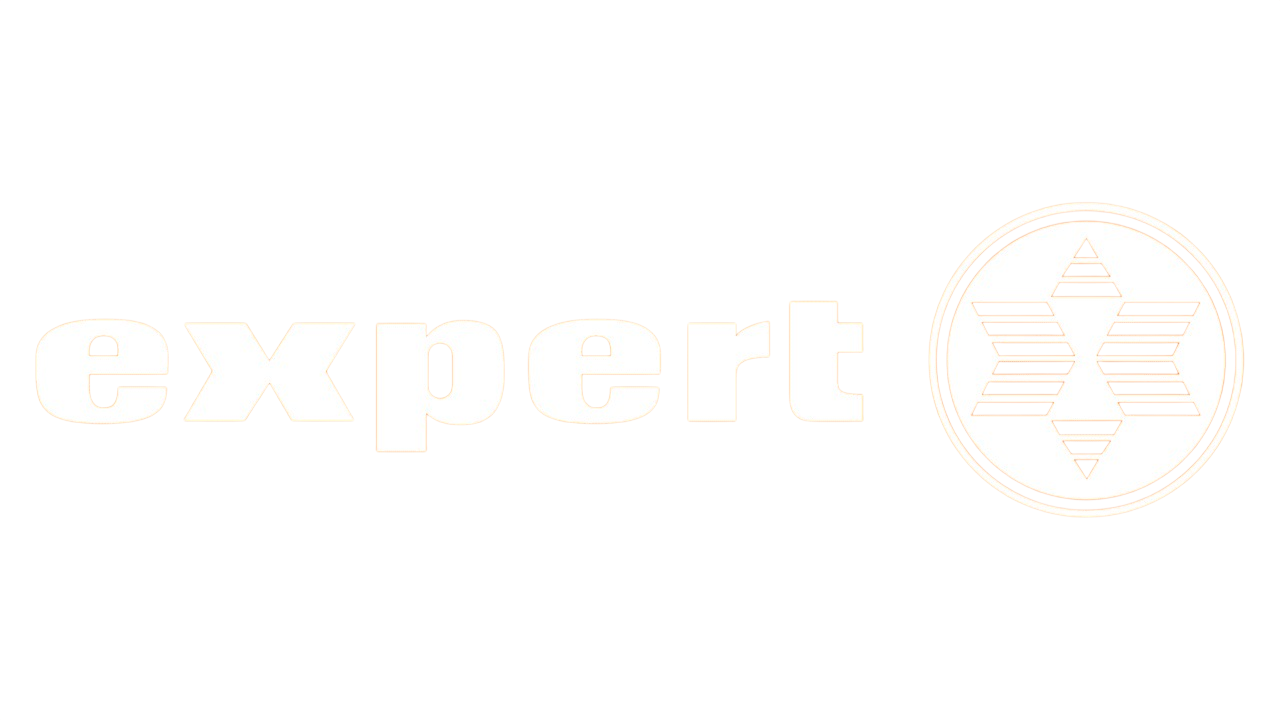 logo expert (1)